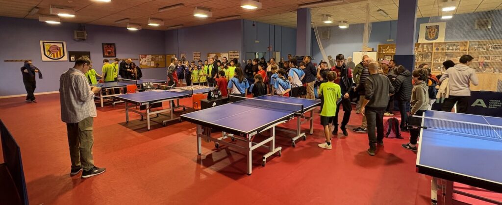 Escolar del TTI a Torelló